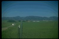 P48_084.TIF