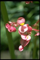 PFLWX027.TIF