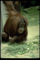 P53_083.TIF