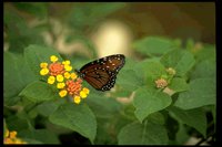 P057_094.TIF