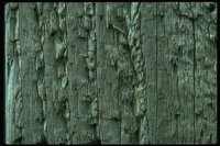 P56_070.TIF