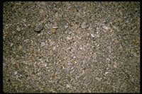 P53_073.TIF