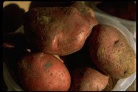 PA00004.TIF
