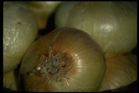 PA00003.TIF