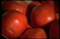 PA00002.TIF