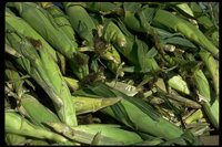 PA00001.TIF
