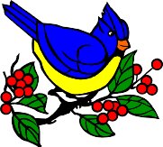 CARDINA3.WMF
