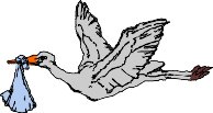 STORKFLY.WMF
