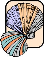 SEASHELL.WMF