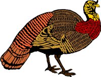 TURKEYWI.WMF