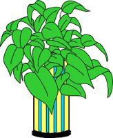 PLANTER.WMF