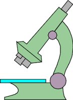 MICROSCP.WMF