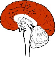 BRAIN.WMF