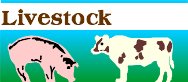 LIVESTOC.WMF