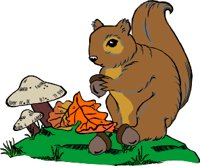 SQUIRRE1.WMF