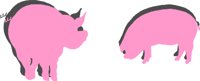PIGSILHO.WMF
