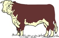 HEREFORD.WMF