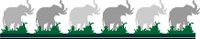 ELEPHNT1.WMF