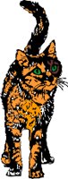 CAT1.WMF