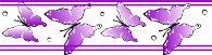 BTRFLY3.WMF