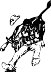 COWBOYWB.WMF
