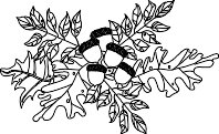 LEAVES.WMF