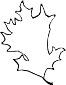 LEAFMOR2.WMF