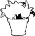 TULIP.WMF
