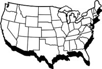 AMERICA.WMF