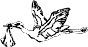 STORKFLY.WMF