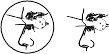 EYEPROF.WMF