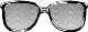 SNGLASS.WMF