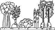 GARDENPL.WMF