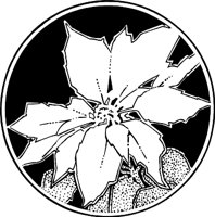 POINSET5.WMF