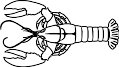 LOBSTER3.WMF