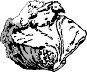 LETTUCE2.WMF