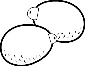LEMONS.WMF