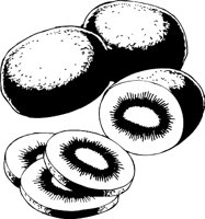 KIWI.WMF