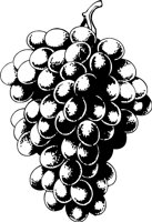 GRAPES4.WMF