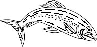 FISH.WMF