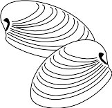 CLAMS.WMF