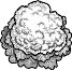 CAULIFL2.WMF