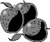 APPLESRE.WMF