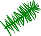 PINEBOUG.WMF