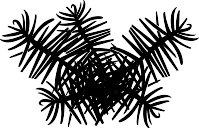 PINEBOU2.WMF