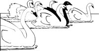 7SWANS.WMF