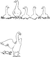 6GEESE.WMF