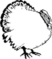 TURKEYMO.WMF