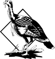TURKEY3.WMF