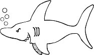 SHARK.WMF